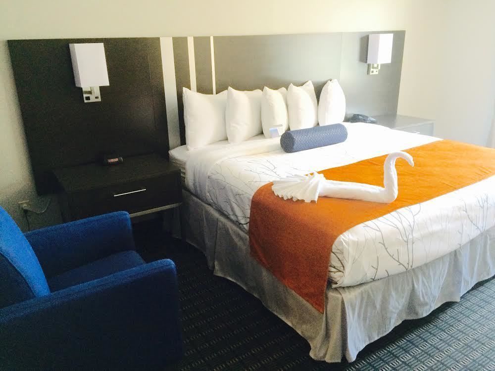 Guesthouse Inn&Suites Lexington Extérieur photo